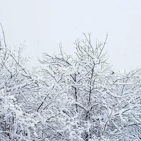 شاليه W Beskidach *