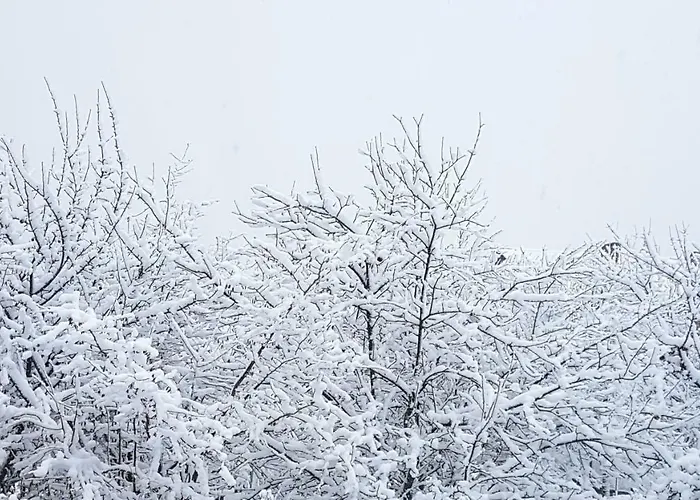 בקתה W Beskidach *